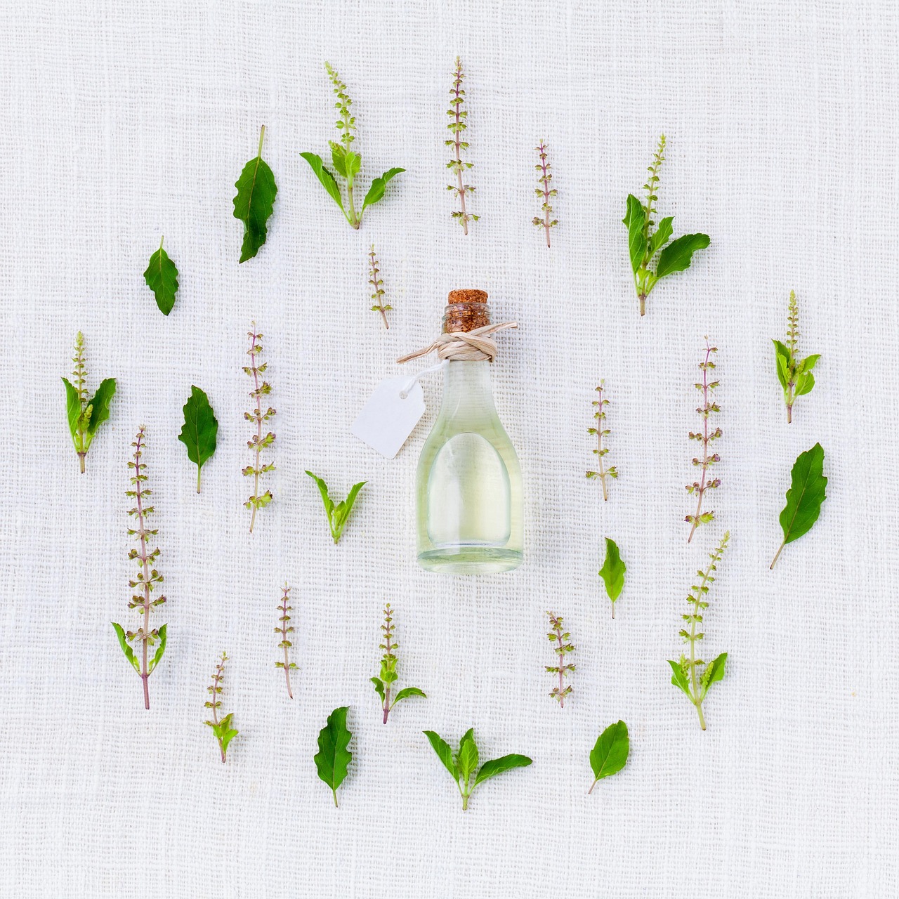 What Does Chamomile Essential Oil Smell Like? A Full Scent Profile